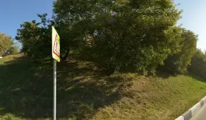 Фотография Белый воротничок 3